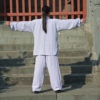 Handmade Wudang Tai Chi Suit Pastel Lavender - Image 3