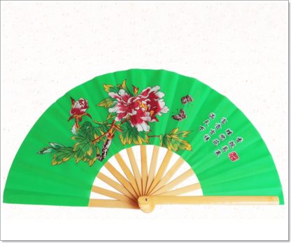 Ventaglio Pieghevole Tai Chi Tbest In Acciaio Inox E Nylon, Con Motivi Drago, Per Arti Marziali E Danza (nero, Rosso, Blu)
