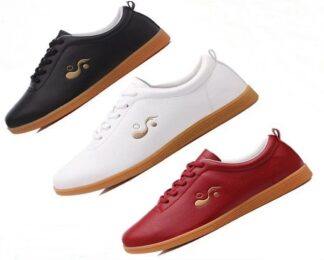 quality leather taiji shoes