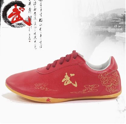 leather tai chi shoes