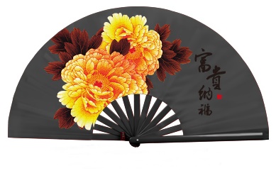 Chinese Tai Chi Fan