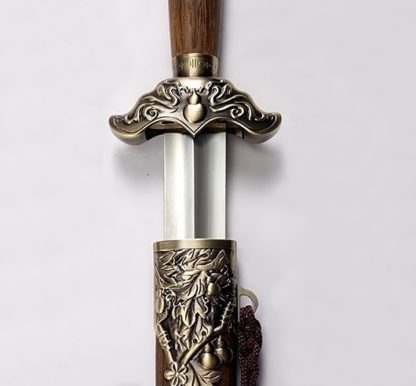 wudang tai chi long sword
