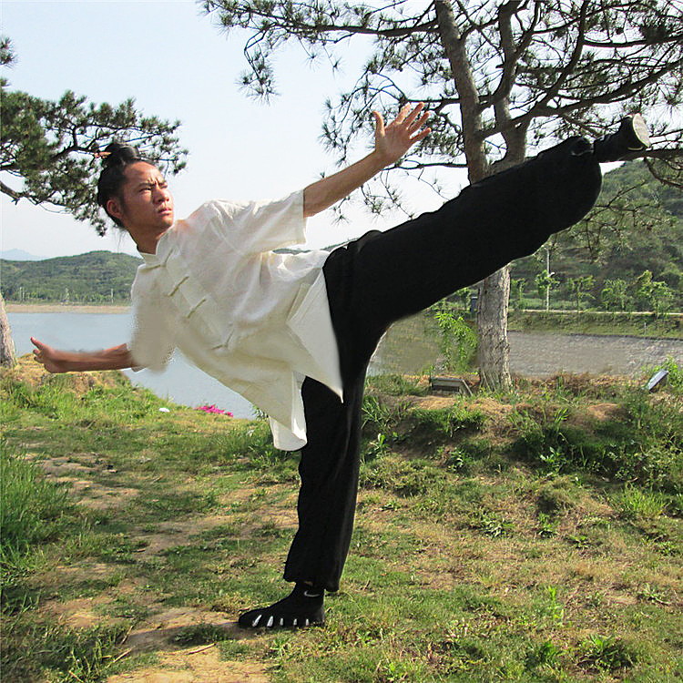 Handmade Traditional Wudang Short Sleeved Tai Chi Shirt - Multicolor - Image 11