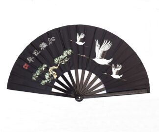 chinese tai chi fan